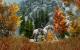 The Elder Scrolls 5 Skyrim im erneuten Test: 22 Grafikkarten und 22 CPUs mit Grafik-Mods und aktuellen Treibern (40)