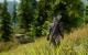 The Elder Scrolls 5 Skyrim im erneuten Test: 22 Grafikkarten und 22 CPUs mit Grafik-Mods und aktuellen Treibern (4)