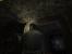 Max Payne mit 32x CSAA + 8x SGSSAA (26)