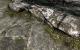 The Elder Scrolls 5 Skyrim: Standard- vs. Hi-Res-Texturen vs. Realistic-Overhaul-Mod (11)