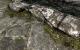 The Elder Scrolls 5 Skyrim: Standard- vs. Hi-Res-Texturen vs. Realistic-Overhaul-Mod (10)