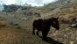 The Elder Scrolls 5 Skyrim: Standard- vs. Hi-Res-Texturen vs. Realistic-Overhaul-Mod (42)