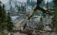 The Elder Scrolls 5 Skyrim im erneuten Test: 22 Grafikkarten und 22 CPUs mit Grafik-Mods und aktuellen Treibern (18)