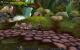 Impressionen aus der Beta von World of Warcraft - Mists of Pandaria mit 32xS-Kantenglättung und neuem SSAO (10)