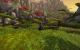 Impressionen aus der Beta von World of Warcraft - Mists of Pandaria mit 32xS-Kantenglättung und neuem SSAO (15)