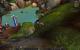 Impressionen aus der Beta von World of Warcraft - Mists of Pandaria mit 32xS-Kantenglättung und neuem SSAO (21)