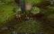Impressionen aus der Beta von World of Warcraft - Mists of Pandaria mit 32xS-Kantenglättung und neuem SSAO (31)