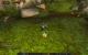 Impressionen aus der Beta von World of Warcraft - Mists of Pandaria mit 32xS-Kantenglättung und neuem SSAO (32)