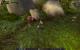 Impressionen aus der Beta von World of Warcraft - Mists of Pandaria mit 32xS-Kantenglättung und neuem SSAO (33)