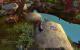 Impressionen aus der Beta von World of Warcraft - Mists of Pandaria mit 32xS-Kantenglättung und neuem SSAO (45)
