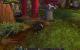 Impressionen aus der Beta von World of Warcraft - Mists of Pandaria mit 32xS-Kantenglättung und neuem SSAO (47)