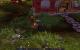 Impressionen aus der Beta von World of Warcraft - Mists of Pandaria mit 32xS-Kantenglättung und neuem SSAO (51)