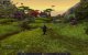 Impressionen aus der Beta von World of Warcraft - Mists of Pandaria mit 32xS-Kantenglättung und neuem SSAO (86)