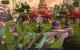 Impressionen aus der Beta von World of Warcraft - Mists of Pandaria mit 32xS-Kantenglättung und neuem SSAO (4)