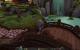 Impressionen aus der Beta von World of Warcraft - Mists of Pandaria mit 32xS-Kantenglättung und neuem SSAO (94)