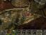 Planescape Torment: Seit der Veröffentlichung im Jahre 1999, hat sich der Titel aus dem (Advanced-) Dungeons-&-Dragons Universum einen Platz bei Rollenspielfans gesichert. Das Studio Beamdog hat zudem eine Enhanced Edition im April 2017 veröffentlicht.