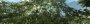 Crysis (Nvidia Surround; ingame4xAA; AO High; 16xAF; DX9; Motion Blur deaktiviert; 80% JPEG-Kompression) von -Lucky+Devil- (1)