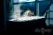Neue Extremkühlungs-Stunts (April 2012) (59)