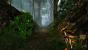 Risen 2 - Dark Waters im Technik-Check: Kernskalierung, Grafikkarten-Benchmarks und Tuning Tipps (5)