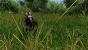 Risen 2 - Dark Waters im Technik-Check: Kernskalierung, Grafikkarten-Benchmarks und Tuning Tipps (7)