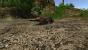 Risen 2 - Dark Waters im Technik-Check: Kernskalierung, Grafikkarten-Benchmarks und Tuning Tipps (12)