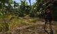 Risen 2 - Dark Waters im Technik-Check: Kernskalierung, Grafikkarten-Benchmarks und Tuning Tipps (13)