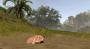 Risen 2 - Dark Waters im Technik-Check: Kernskalierung, Grafikkarten-Benchmarks und Tuning Tipps (16)
