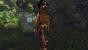 Risen 2 - Dark Waters im Technik-Check: Kernskalierung, Grafikkarten-Benchmarks und Tuning Tipps (28)