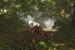 Risen 2 - Dark Waters im Technik-Check: Kernskalierung, Grafikkarten-Benchmarks und Tuning Tipps (30)