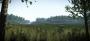 Crysis 2: Beeindruckende Vegetations-Mod (3)