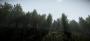 Crysis 2: Beeindruckende Vegetations-Mod (5)