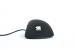 Zowie EC1 eVo Pro-Gaming-Maus (4)