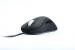 Zowie EC2 eVo Pro-Gaming-Maus (5)