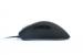 Zowie EC2 eVo Pro-Gaming-Maus (7)