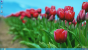 Screenshots zur kommenden Release Preview von Windows 8 (2)