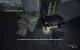 Alan Wake's American Nightmare für PC im Test: Anders, aber mindestens ebenso gut (16)