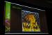 GTC 2012: Feuersimulation und -darstellung auf der GPU. (7)