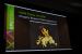 GTC 2012: Feuersimulation und -darstellung auf der GPU. (21)