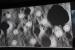 Part Time Scienstists auf der GTC 2012: Mit GPU-Support zum Mond (14)