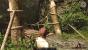 Risen 2 Tops: So muss Holz aussehen!