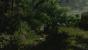 Risen 2 Tops: Dschungeldarstellung.
