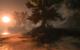 Risen 2: 1680x1050@1400x875 by BlackF0g
(6)