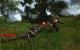 Risen 2: 1680x1050@1400x875 by BlackF0g
(10)