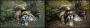 Skyrim mit und ohne ENB-Series-Mod by PMind (17)