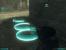 Tom Clancy's Ghost Recon Advanced Warfighter 2, 2007.