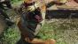Far Cry 3: Kommentierter Coop-Trailer gibt spannende Einblicke (4)