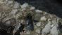 Ghost Recon Future Soldier: Technik-Technik des DX11-Coop-Shooters (10)