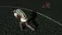 Max Payne 3 PC: Prozessoren im Benchmark-Test (2)