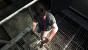 Max Payne 3 PC: Prozessoren im Benchmark-Test (48)