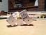 Update: Hardware lackiert und mit bunter Beleuchtung (40)
